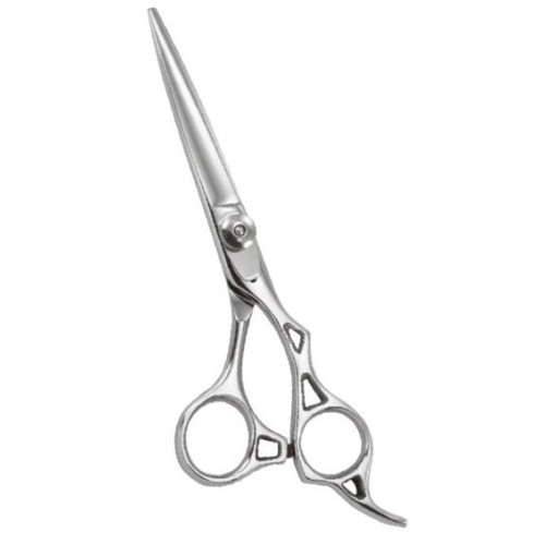 Professional Hair Cutting Scissors